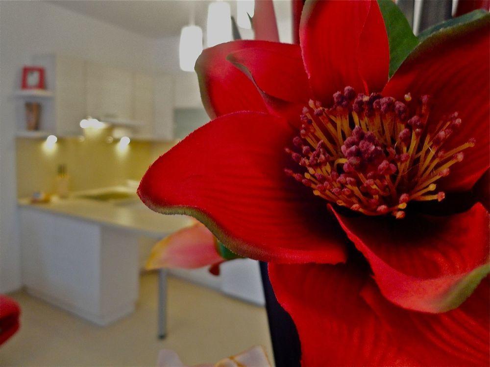 Apartamenty Aparts Łódź Buitenkant foto